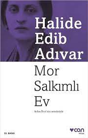 Mor Salkımlı Ev Özet – Halide Edib Adıvar