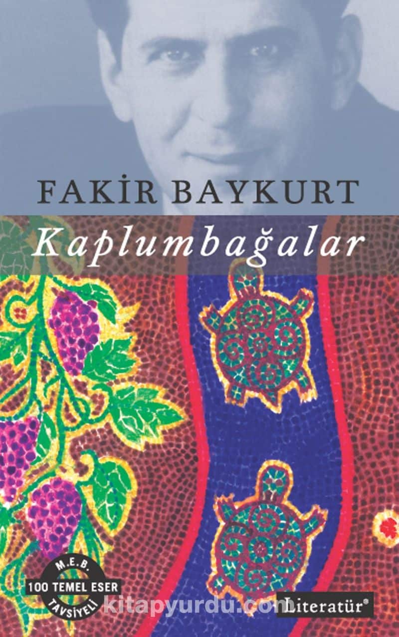 Kaplumbağalar Özet – Fakir Baykurt