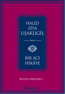 Bir Acı Hikâye Özet