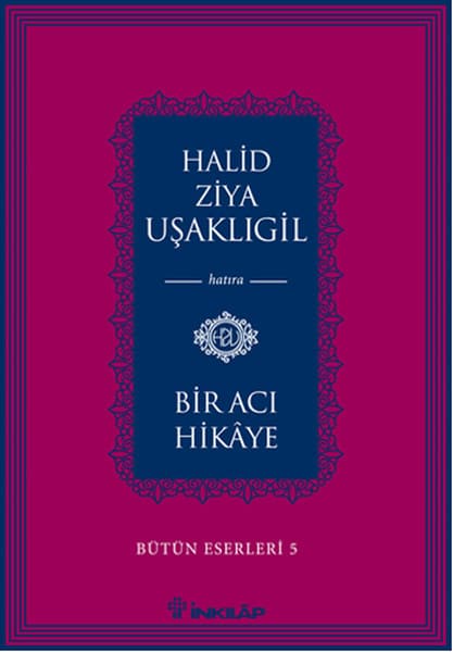 Bir Acı Hikâye Özet