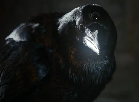 Game Of Thrones 1. Sezon Tüm Bölümlerin Özeti Üç Gözlü Kuzgun