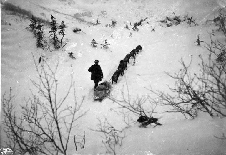Klondike Altına Hücum yıllarında Chilkoot Patikası’nda yük taşıyan kızak köpekleri, 1898